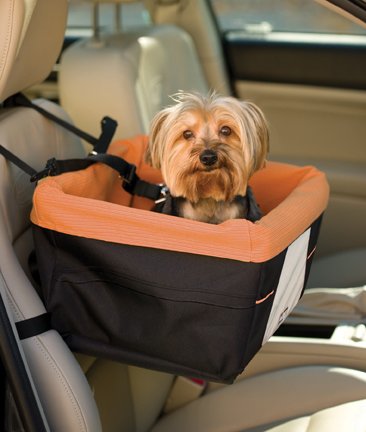 Kurgo Skybox Booster Seat
