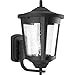Progress Lighting P6075-31 Contemporary/Soft 1-100W Med Wall Lantern, Black