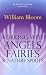 Working with Angels, Fairies & Nature Spirits