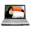 Toshiba Satellite P205-S7482 17-inch Laptop (Intel Core 2 Duo Processor T5450, 2 GB RAM, 300 GB Hard Drive, Vista Premium)
