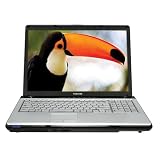 Toshiba Satellite P205-S7482 17-inch Laptop (Intel Core 2 Duo Processor T5450, 2 GB RAM, 300 GB Hard Drive, Vista Premium)