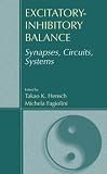 Excitatory-Inhibitory Balance: Synapses, Circuits, Systems