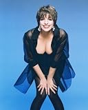 LIZA MINNELLI 24x36 COLOR POSTER PRINT