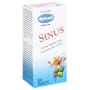 Hyland's Homeopathic - Sinus - 100 tablets