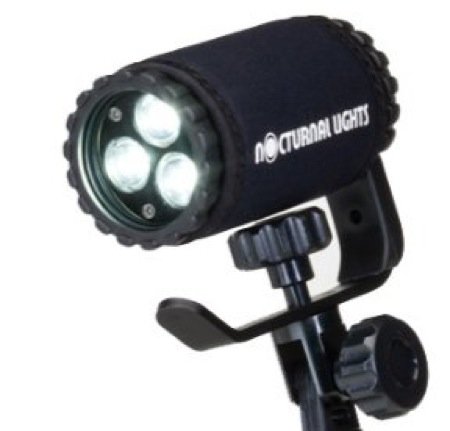 price Nocturnal Lights 