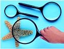 MAGNIFYING GLASS 3 INCH DIAMETER