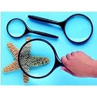 Click here to buy FRANK SCHAFFER PUBLICATIONS MAGNIFYING GLASS 3 INCH DIAMETER.