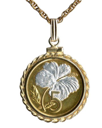 Gorgeous 2-toned 24k Gold on Sterling Silver World Coin Necklaces in Gold Filled Bezels - Cook Islands 5 cent "White Hibiscus" (penny size)