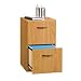 Office Products : Beginnings 2-Drawer File Cabinet - Oregon Oak finish
