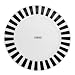 Gianfranco Ferre GFF 3003 Nero 001 Harlequin Charger/Serving Plate Set of 2