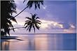 Tropical Sunset - Giant Photography Poster (Size: 59'' x 39'')