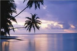 Tropical Sunset - Giant Photography Poster (Size: 59'' x 39'')