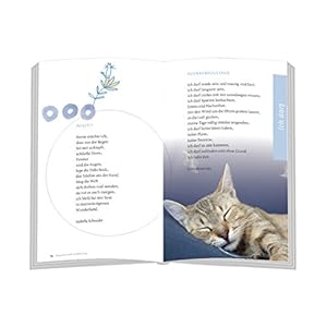 Warum die Katze den Müßiggang erfunden hat: Pausen zum Schnurren (Eschbach