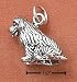 Animals Ch-2419 : Sterling Silver 3-D Newfoundland Charm