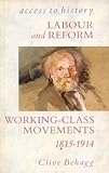 Labour and reform : working-class movements 1815-1914