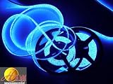 41IiCi42CAL. SL160  HitLights LED Lighting Strip Blue 300 SMD 5 Meter or 16 Feet Reviews