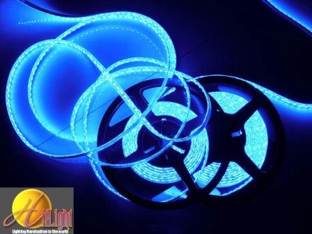 41IiCi42CAL HitLights LED Lighting Strip Blue 300 SMD 5 Meter or 16 Feet Reviews