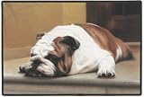Bulldog on a Porch Dog Bull Dog Doormat Rug Mat