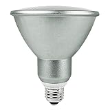 Energy Miser FE-PAR38-23W/50K - Month Warranty