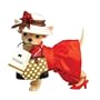 Aye Chihuahua Poochi Figurine