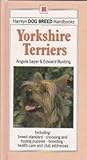 Yorkshire terriers