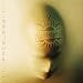 Godsmack-Faceless