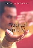 Practical Tai Chi