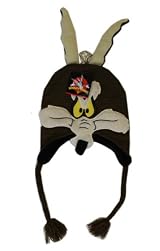 Looney Tunes Wile E. Coyote Peruvian Intarsia Hat