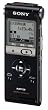 ICD-UX300F