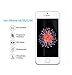 iPhone SE Screen Protector，Motoraux iPhone SE 5S 5 5C Tempered Glass Screen Protector Premium High Definition Shockproof Clear Cover 0.2mm Thickness 2.5D Curved Edge (iphone SE)