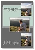 Osteosarcoma in Dogs: Causes, Tests and Treatment Options
