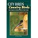 City Birds Country Birds: How Anyone Can Attract Birds to Their Feeder