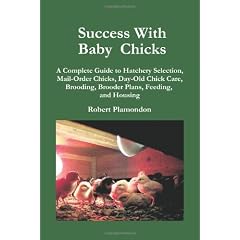 Success with Baby Chicks