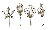 Nautical Sea Shell Hooks in Iron Set of 4