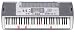 Musical Instruments : Casio LK100 Lighted Keyboard With LCD Display