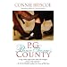 P.G. County: A Novel
