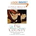 P.G. County: A Novel
