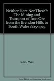 Neither here nor there? : the mining and transport of iron ore from the Brendon Hills to South Wales 1825-1925
