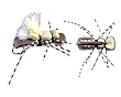 Taylor's Fat Albert Hi Visibility Tan Dry Attractor Foam/Chernobyl ::: Fly Fishing Trout Flies
