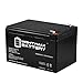 Mighty Max Battery ML15-12 12V 15AH F2 UPS Backup Bttry Replaces Vision HP12-65W, HP12-65W brand product