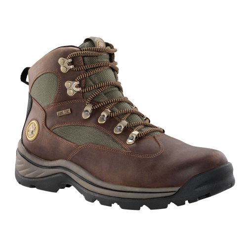 Timberland Men's Chocorua Trail Boot Gore-Tex Brown/Green Size 10.5