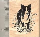 Border Collie Rubber Stamp - Wood Mounted