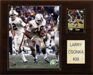 Miami Dolphins Larry Csonka 12