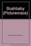 Bushbaby