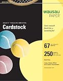 Wausau Vellum Bristol Cardstock, 67 lb, 8.5 x 11 Inches, Pastel Yellow, 250 Sheets (82338)