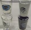 Jacksonville Jaguars NFL Shot Glass Set of 4