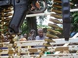 Africa: War is Business