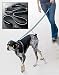 Dog Collars & Leashes Sharper Image Luminescent Safety Leash (AT9506BK)