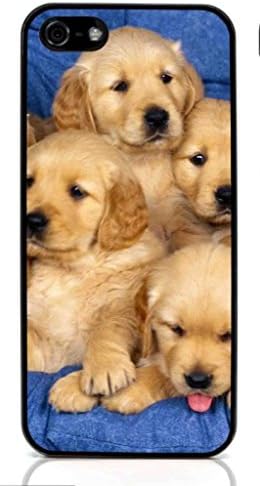 Golden Retriever Dog Hard Case for Apple iPhone 5/5S ( Sugar Skull )