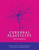 Cerebral plasticity : new perspectives